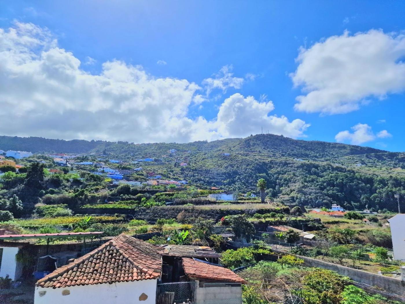 Cozy House Casa De Los Abuelos In Icod De Los Vinos By Hrtenerife Net المظهر الخارجي الصورة