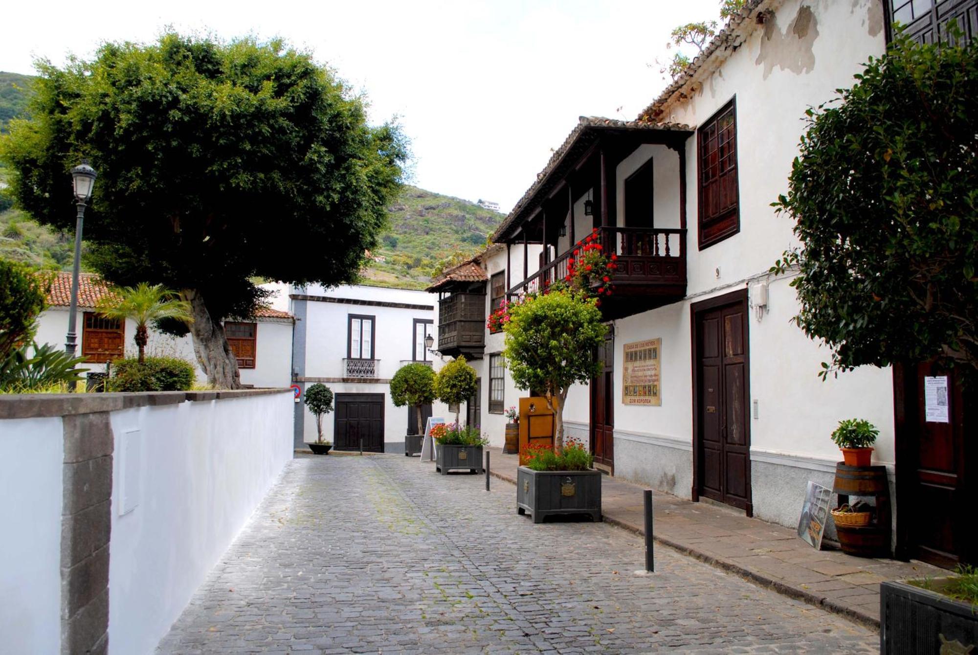 Cozy House Casa De Los Abuelos In Icod De Los Vinos By Hrtenerife Net المظهر الخارجي الصورة