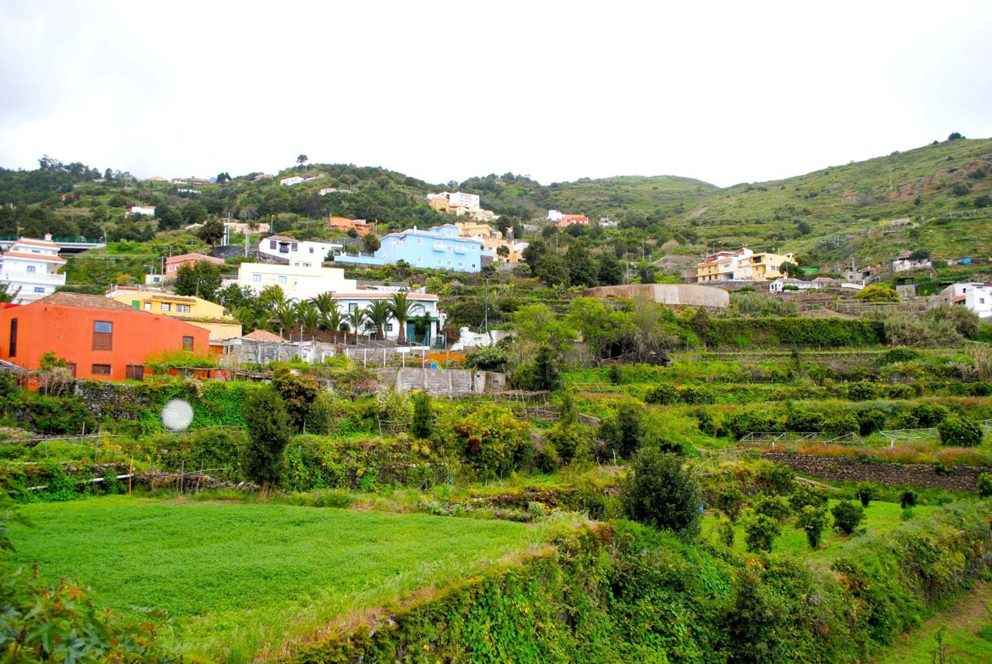 Cozy House Casa De Los Abuelos In Icod De Los Vinos By Hrtenerife Net المظهر الخارجي الصورة